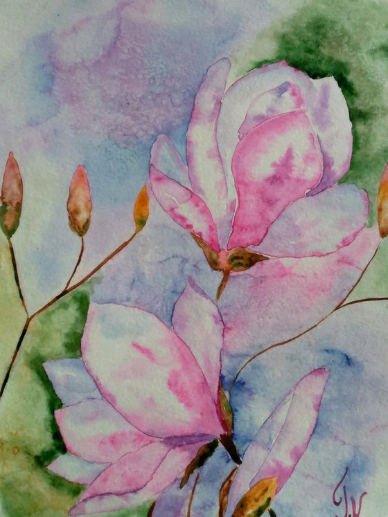 Magnolia blossoming pink magnolis flowers original watercolor painting magnolia branch" Spring beauty"