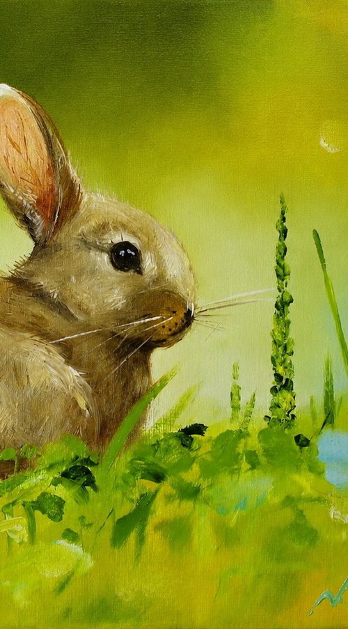 Rabbit by Natalia Shaykina