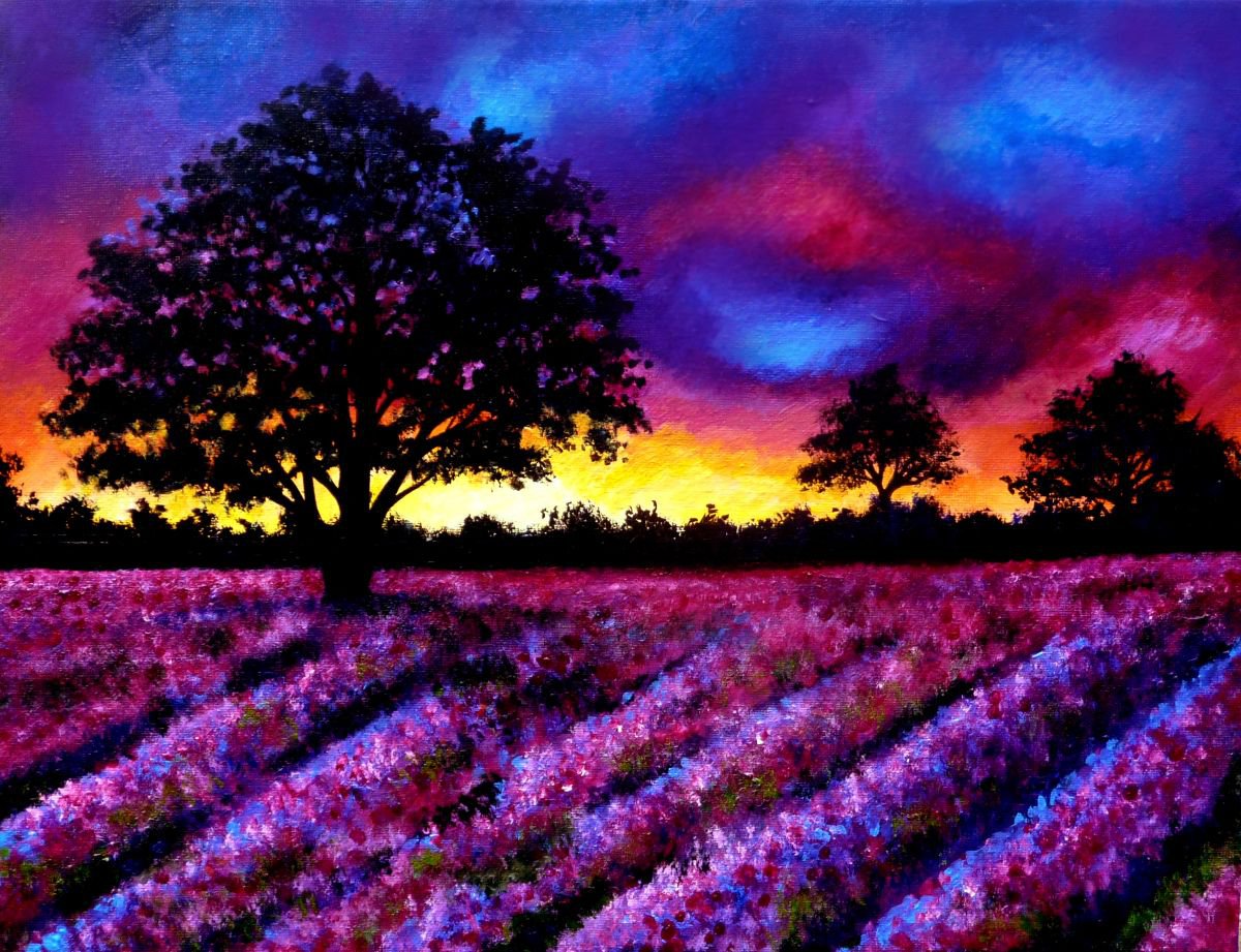 Lavender sunset by Linzi Fay