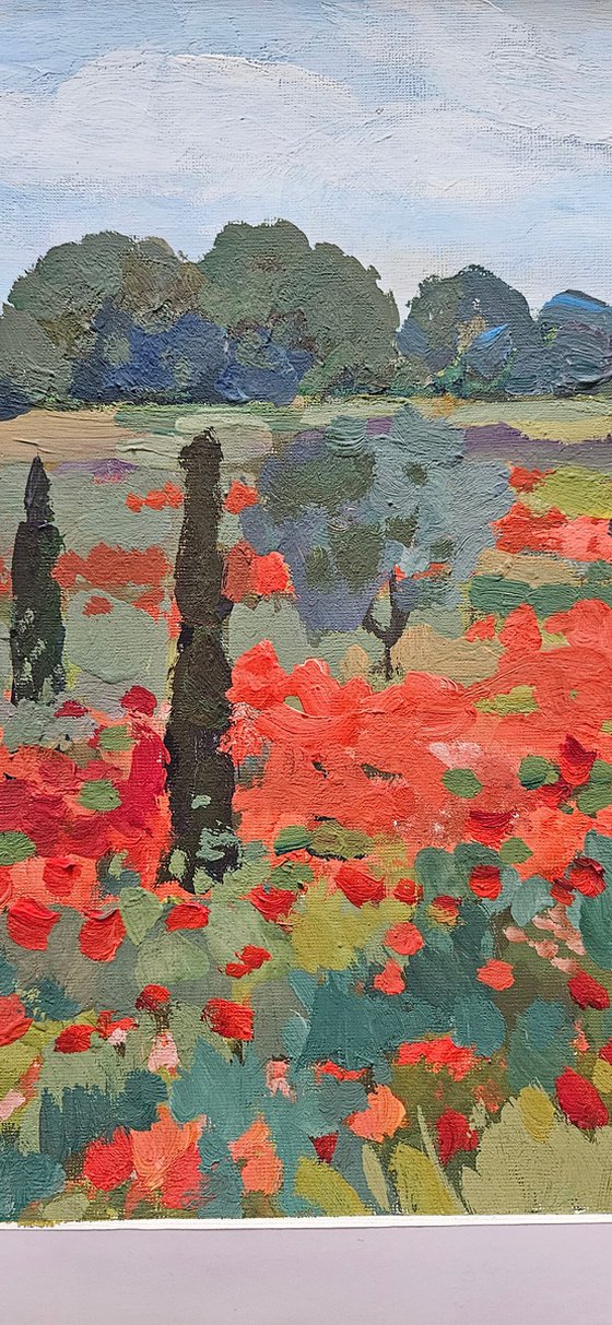 Poppies of Languedoc. French Landscape