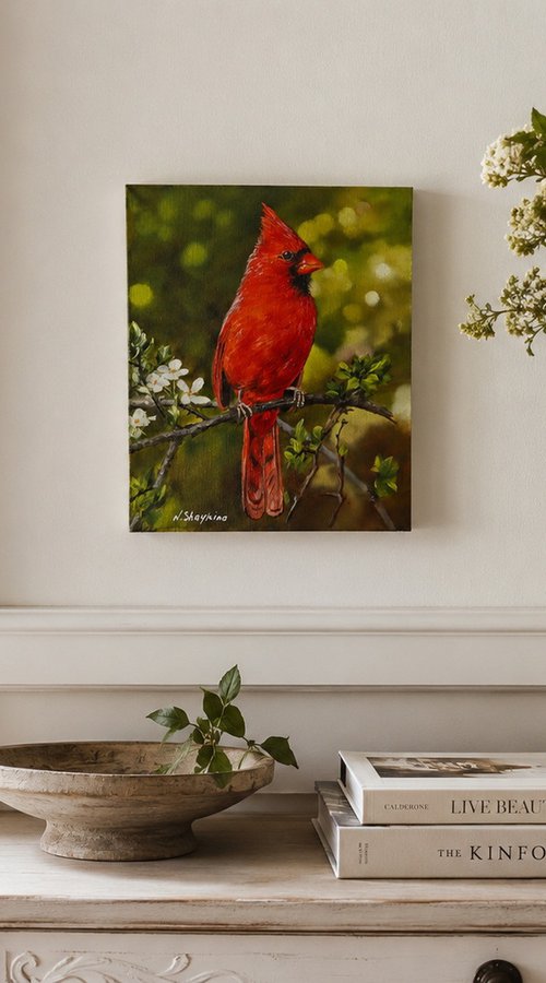 Red Cardinal by Natalia Shaykina