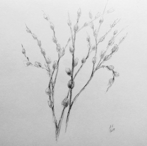 Spring Awakening.Sketch. Original pencil drawing. by Yury Klyan