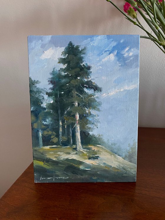 Pine on the hill