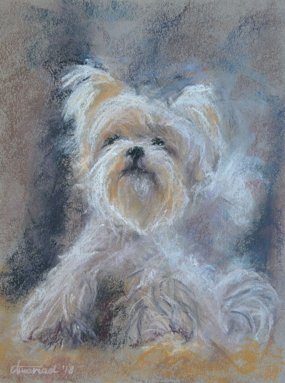 ORIGINAL PAINTING - Maltese - Soft pastel. Wall decor art. One of kind. White small dog.