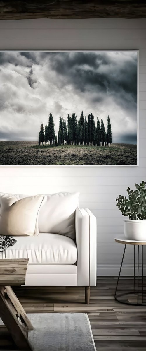 I Cipressini (studio 8) by Karim Carella