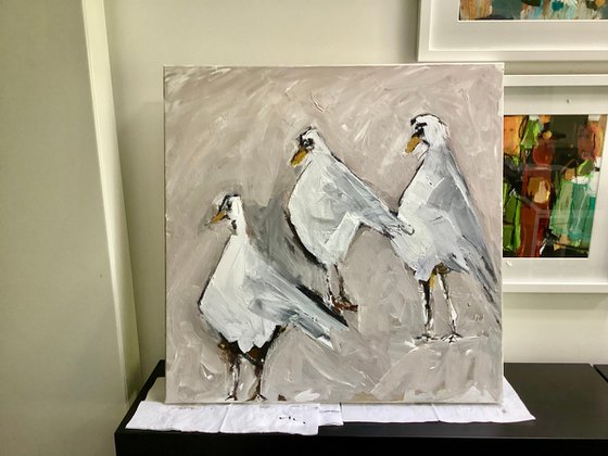 The Gulls