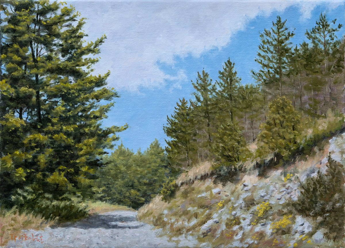 Impressionistic Landscape Oil Painting By Dejan Trajkovic, 14 X 10, Gotcha, Original Artwork