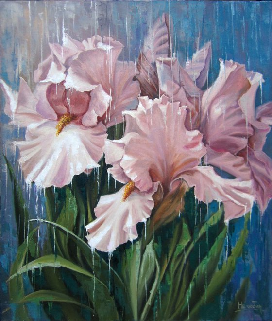 "Irises in the rain" . flowers