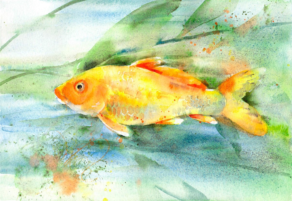 Koi Fish, An original watercolour painting by Anjana Cawdell