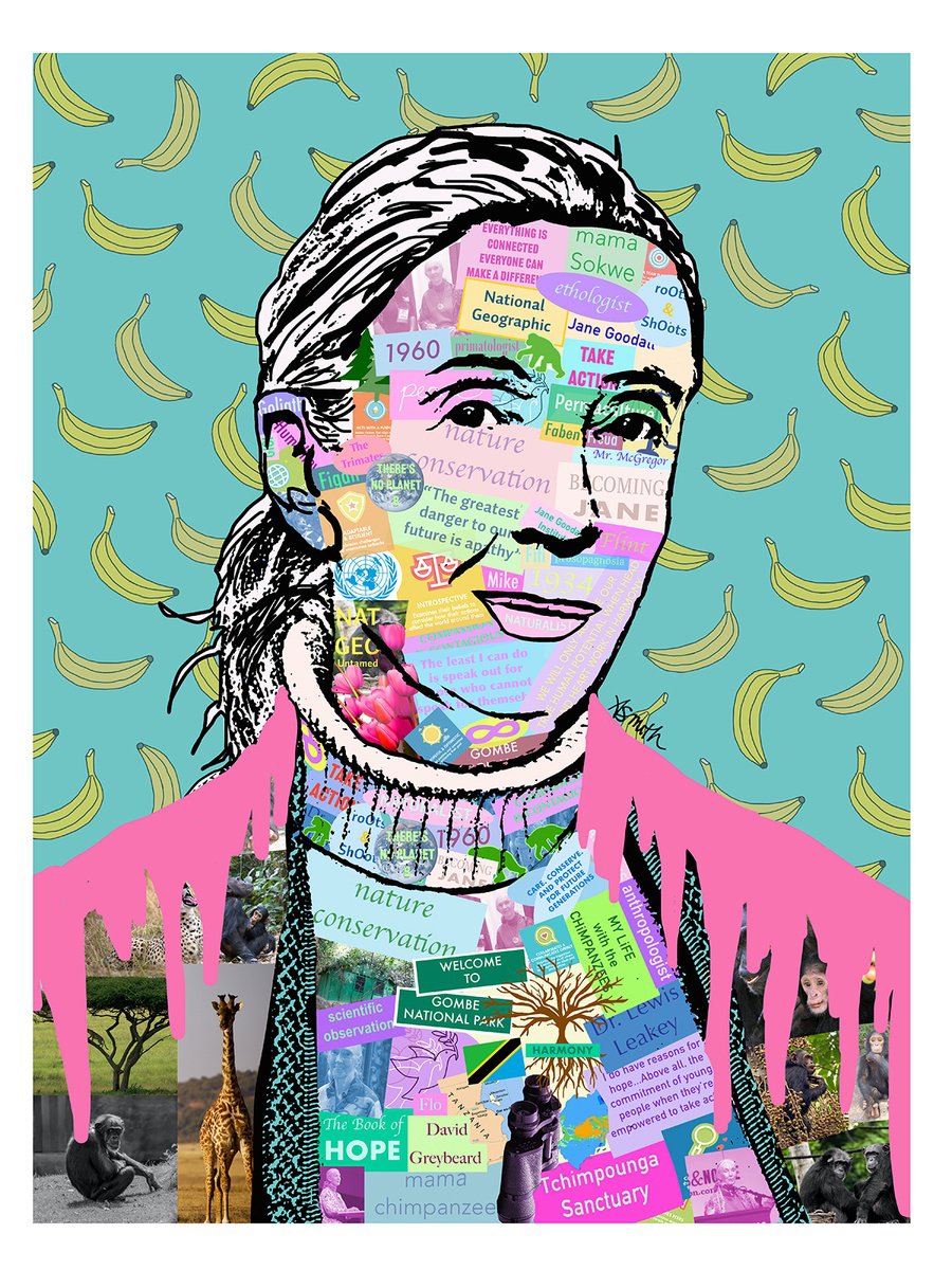 Jane Goodall Trailblazer limited edition pop art portrait by Amy Smith