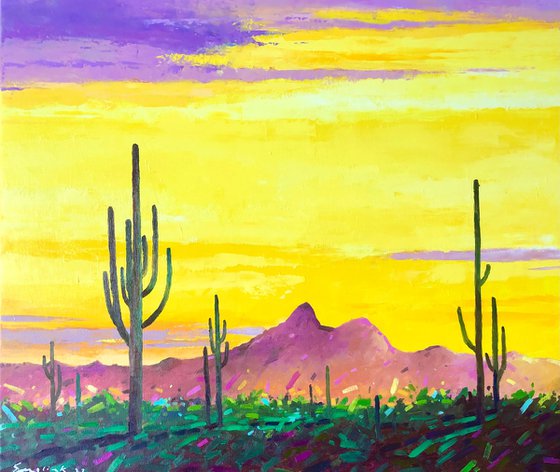 Sunset in desert 60-70cm