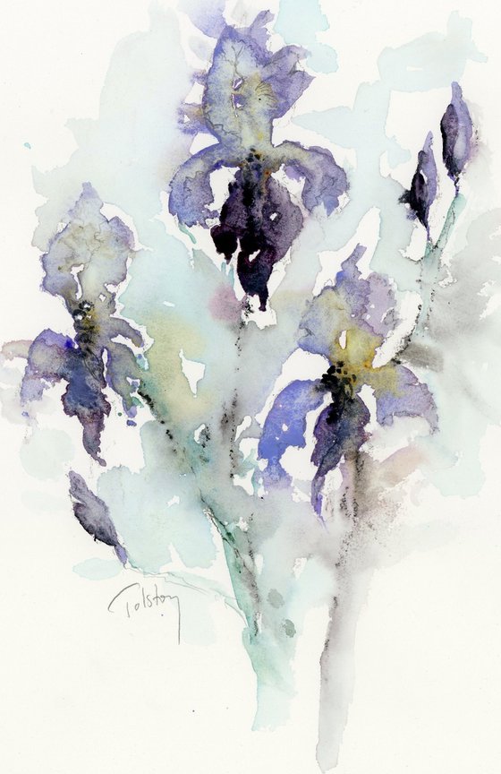 Three Irises