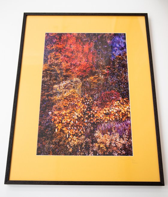 Wall of Nature LXII (Framed)