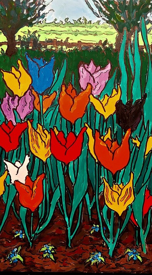 tulips by Colin Ross Jack