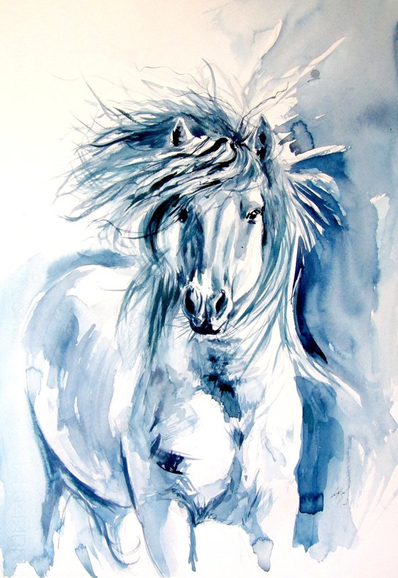 Majestic horse running II