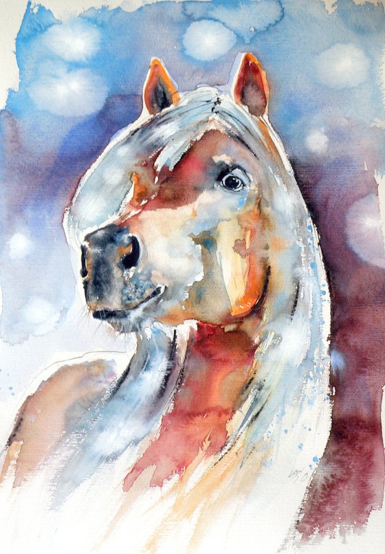 Horse portrait