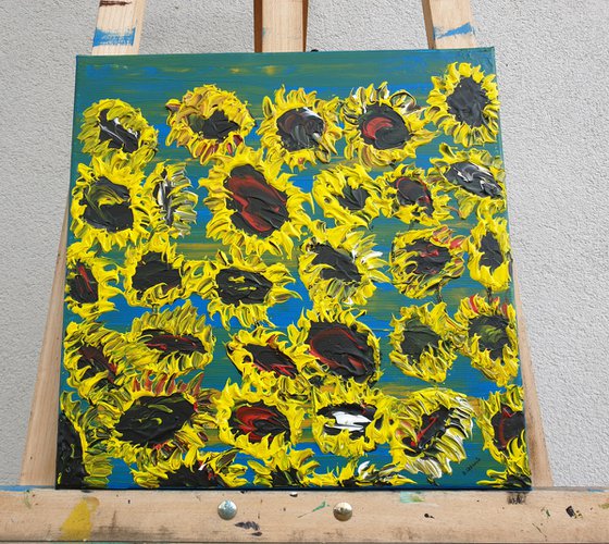 Blooming sunflowers 4