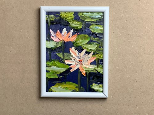 Water Lilly pond. by Vita Schagen