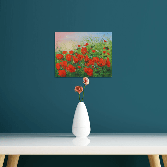 Poppy field in summer 3