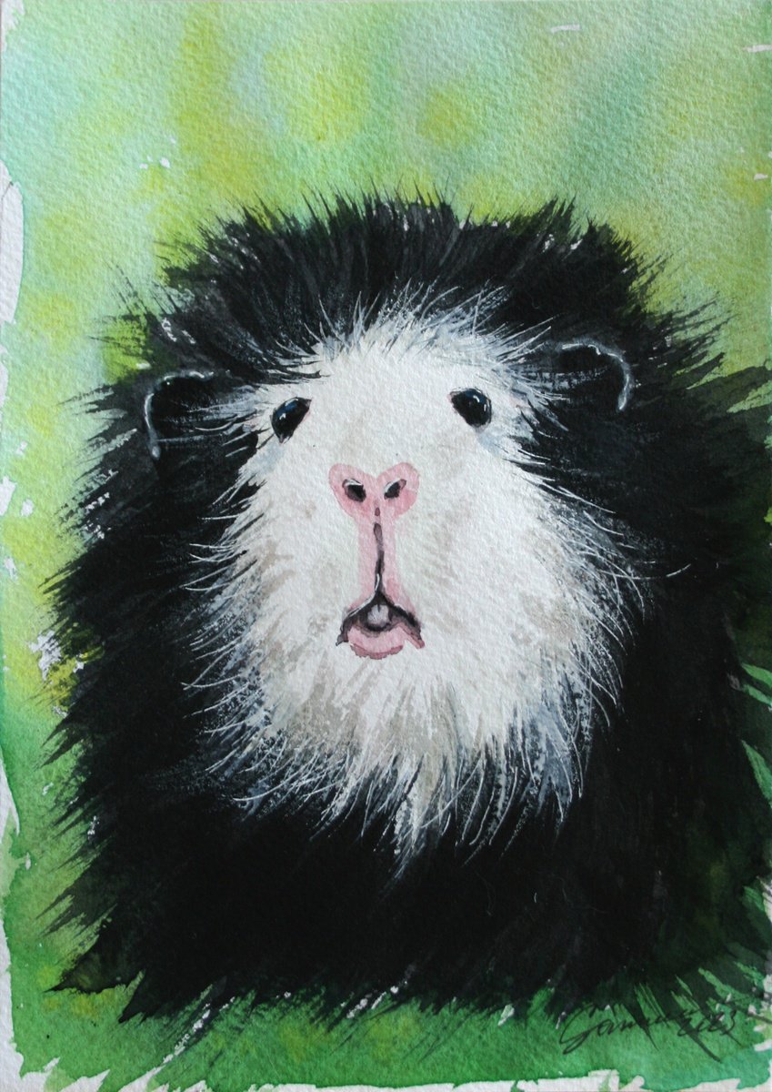Guinea Pig III,  5.5 x 8’’ / FROM THE ANIMAL PORTRAITS SERIES / ORIGINAL PAINTING by Salana Art Gallery