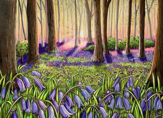 Bluebell wood