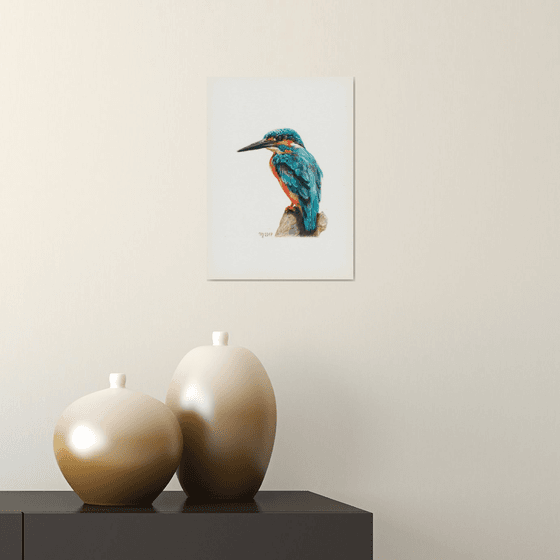 Kingfisher/Bird Series