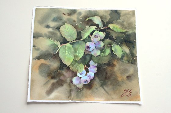 Blueberries ripen, Surprise in mom's garden, Small watercolor painting