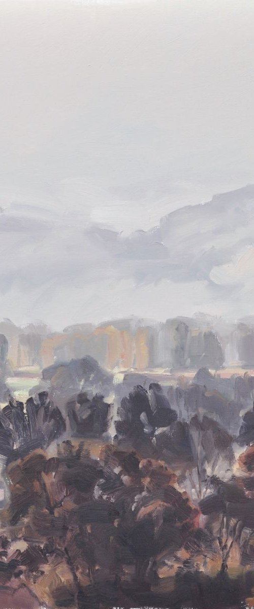 October 21, mists on the Loire by ANNE BAUDEQUIN