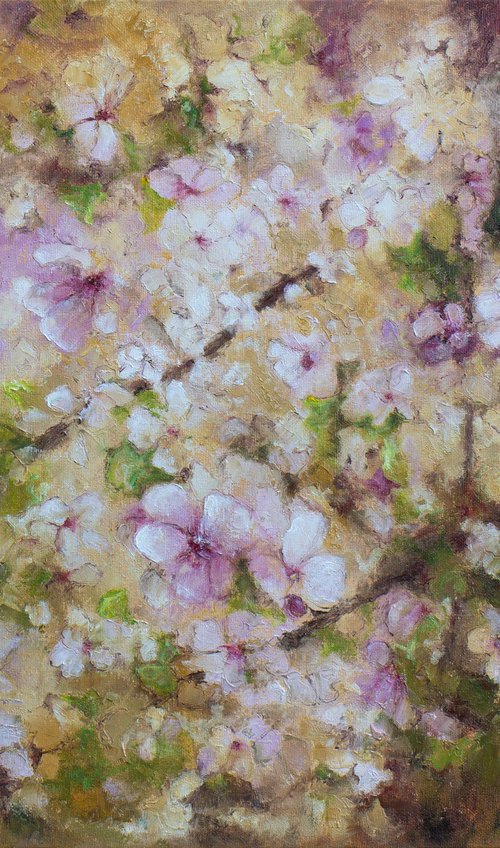 Cherry Blossom Season by Mila Moroko