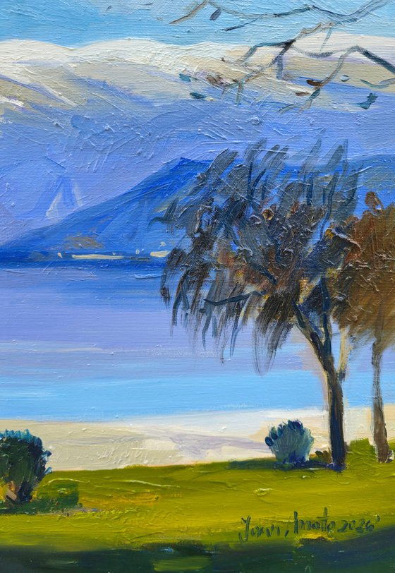 Winter day by the lake