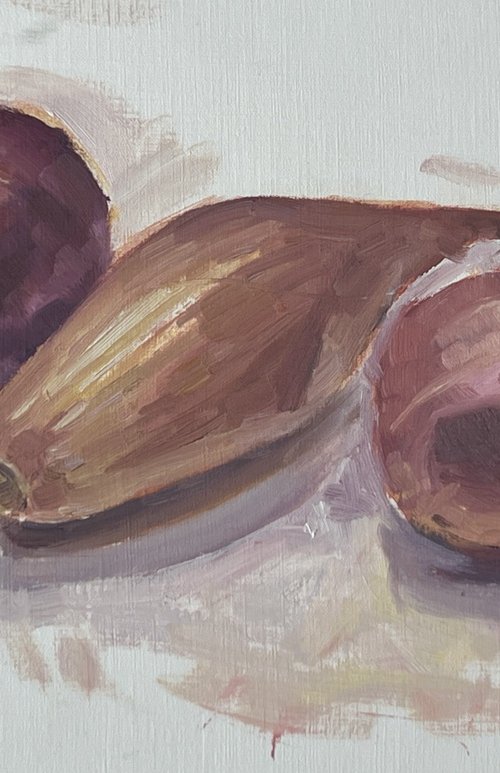 Onion study by Louise Gillard