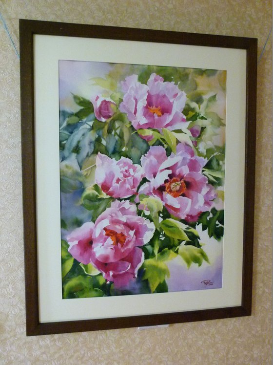 PINK PEONIES#4