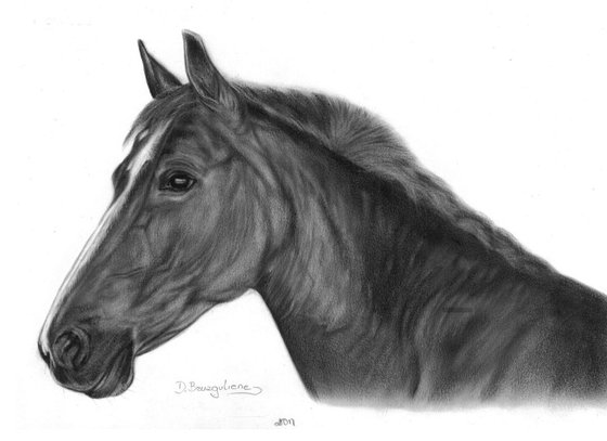 Oil painting ,, Horse Big Brown,,