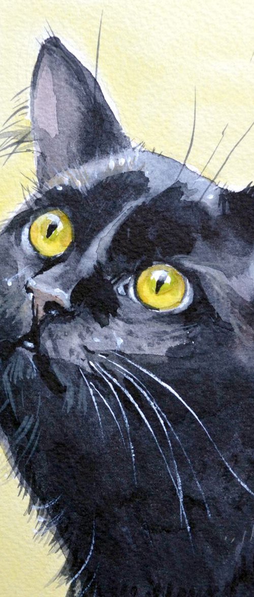 Black Cat. by Irina Ushakova
