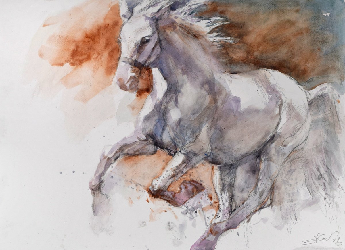 Expressive Animal Watercolour By Goran Zigolic Watercolors, 28 X 20, Horse In The Run 4 (70X50), Original Artwork