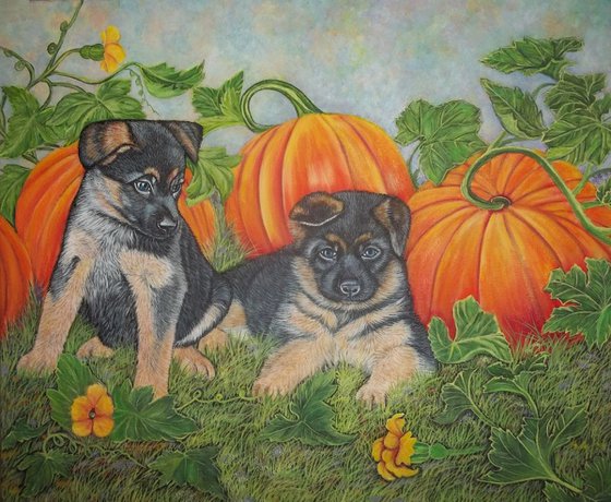 Puppies and Pumpkins