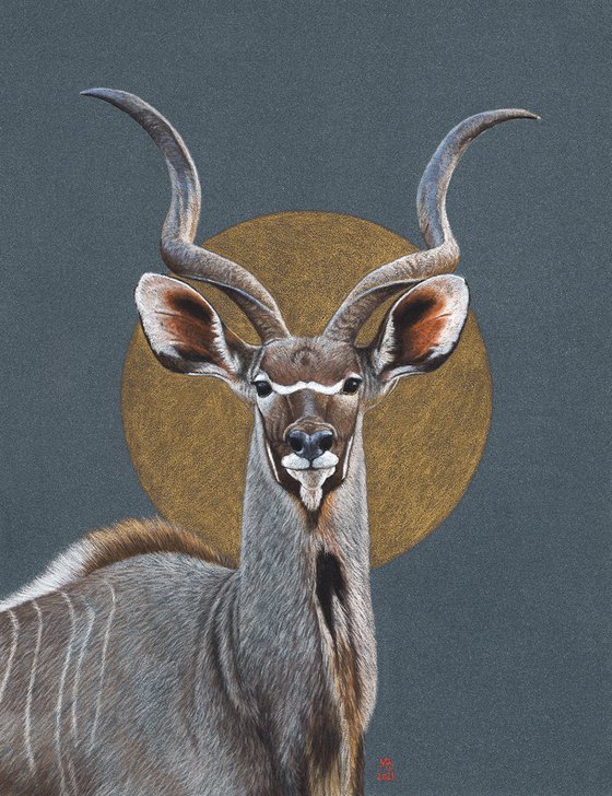 Original pastel drawing "Greater kudu"