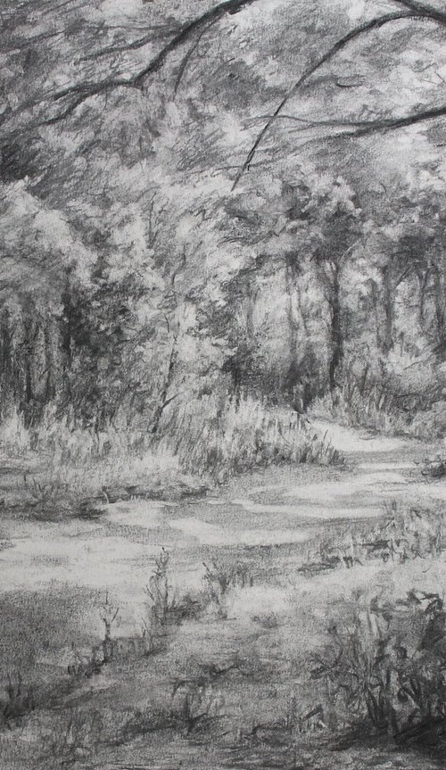 Path into the Wood by John Fleck