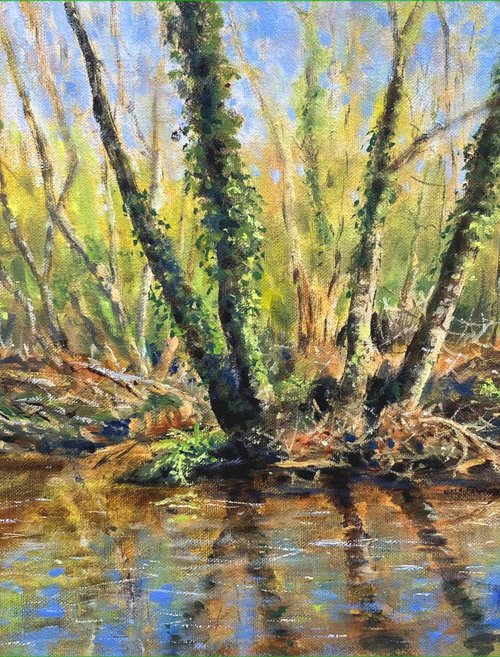 Beaulieu River, New Forest by Peter Frost