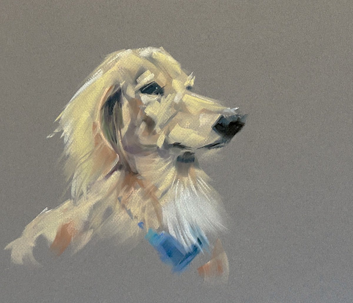 Expressive Animal Pastel Drawing By Deke Wightman, 13 X 12, Peaceful Guardian, Original Artwork