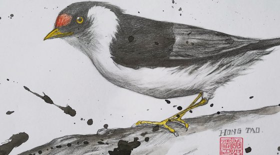 Drawing- Bird #20829
