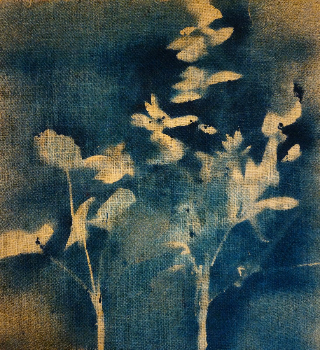 Surrealistic Botanical Acrylic Painting By Stefano Mazzolini, 35 X 39", Rf50, Original Artwork