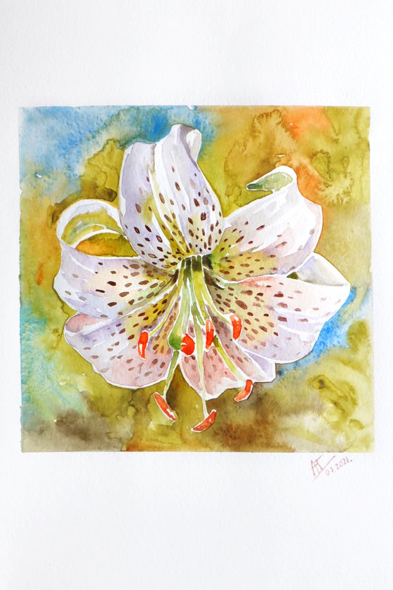 Watercolor lily illustration. White tiger lily and green leaves