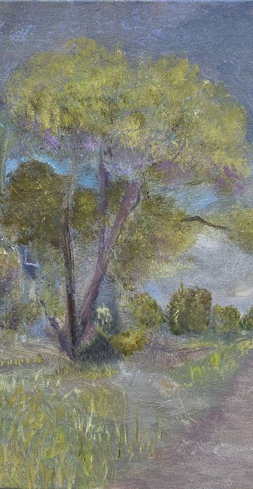 Big ole tree by Stacy Neasham
