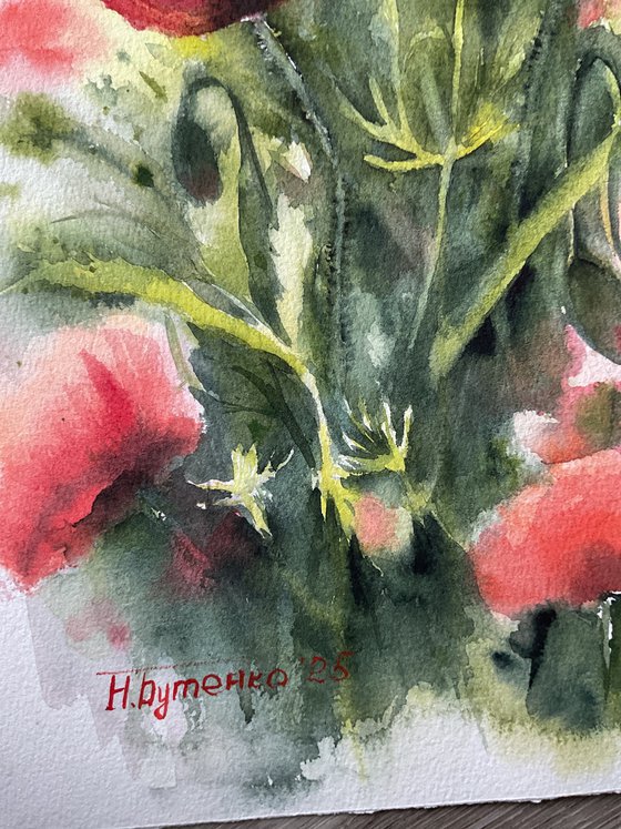 Poppies, flowers, watercolour