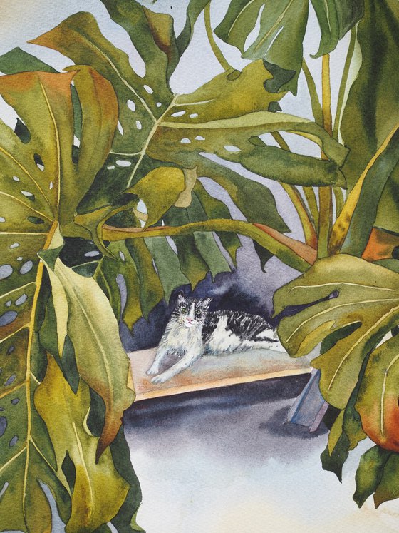 Сat and monstera leaves