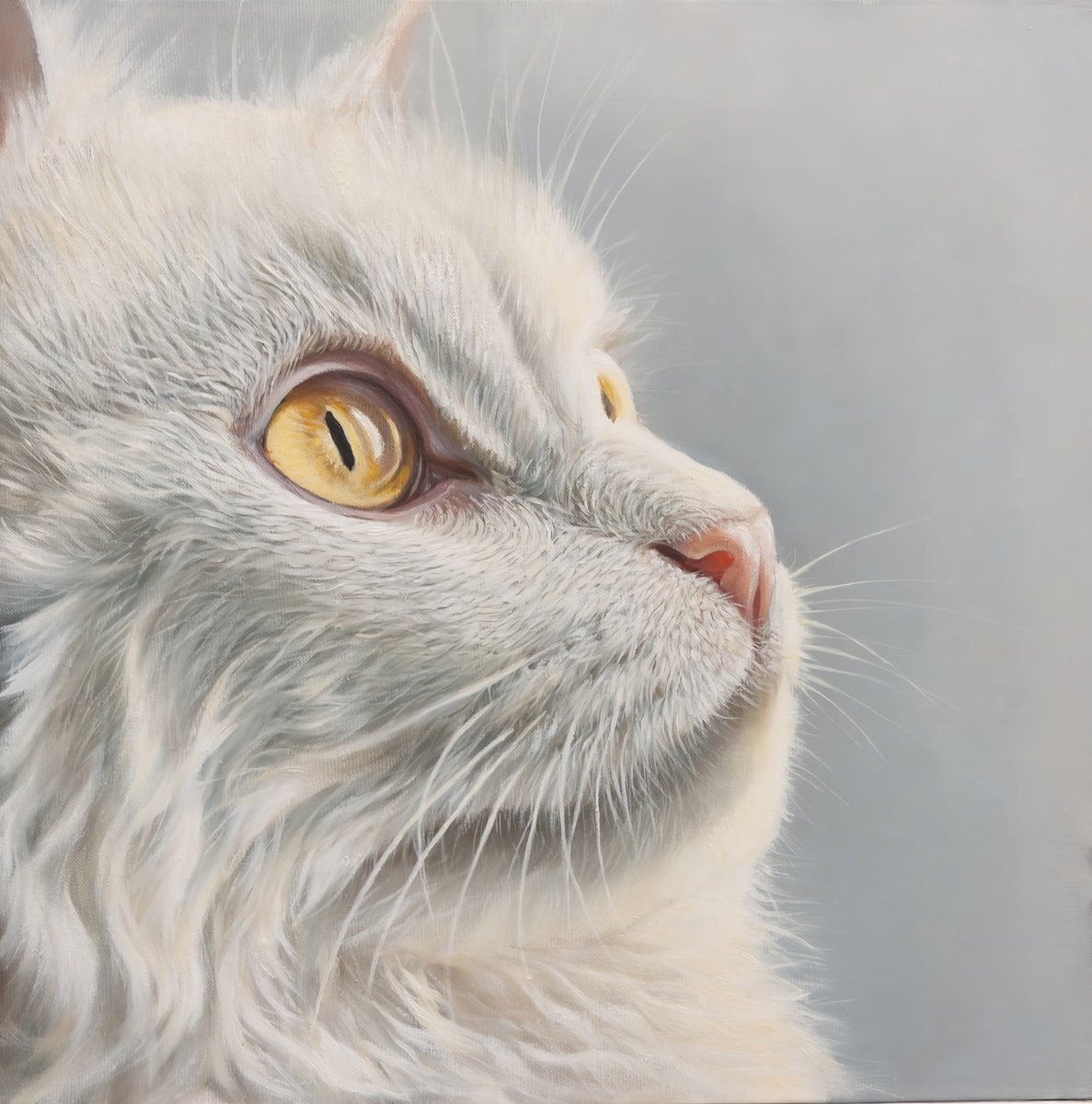 Photorealistic Animal Acrylic Painting By Norma Beatriz Zaro, 12 X 12", "The Silence Of Gold", Original Artwork