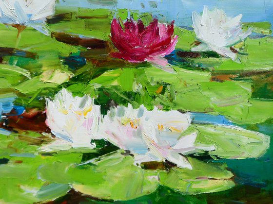 "Water Lilies  "