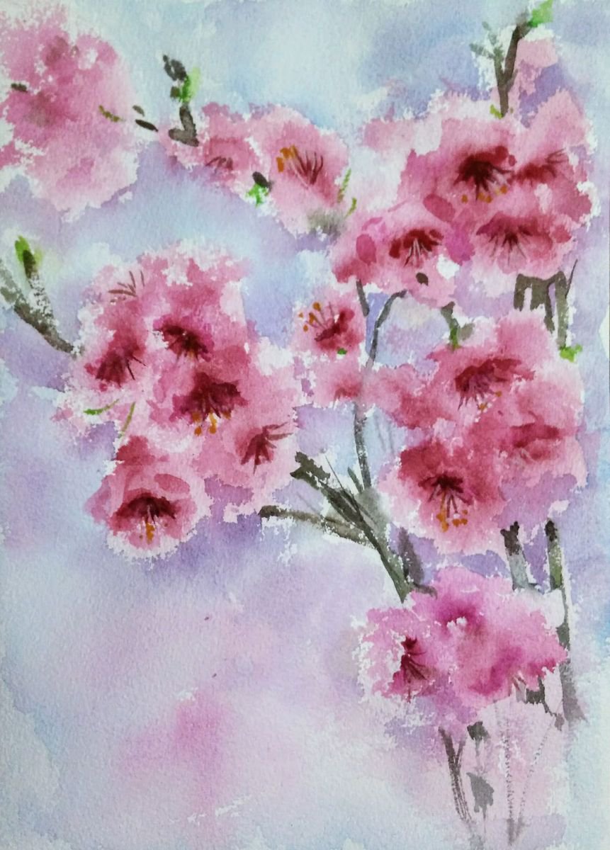 Cherry blossoms 2 Sakura liGHt ORIGINAL watercolor by Asha Shenoy