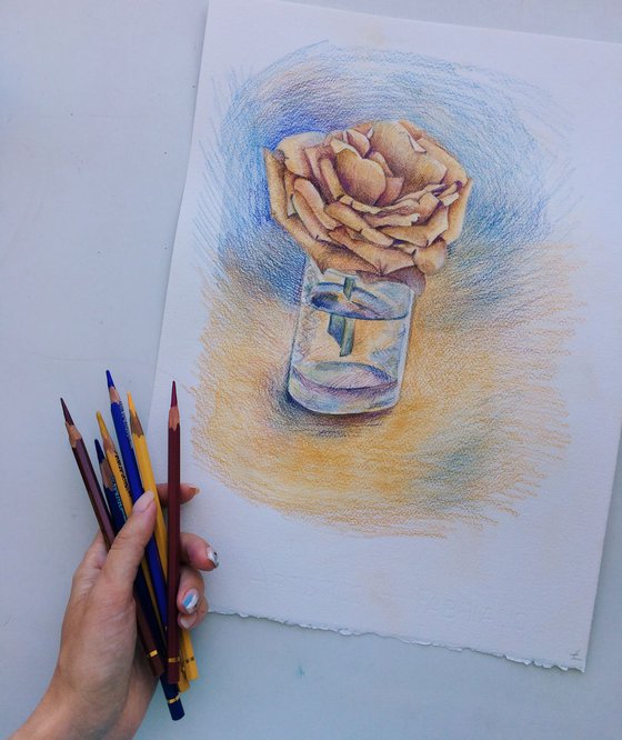Original colored pencils drawing of coffee rose in glass